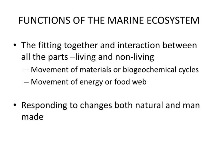 functions of the marine ecosystem