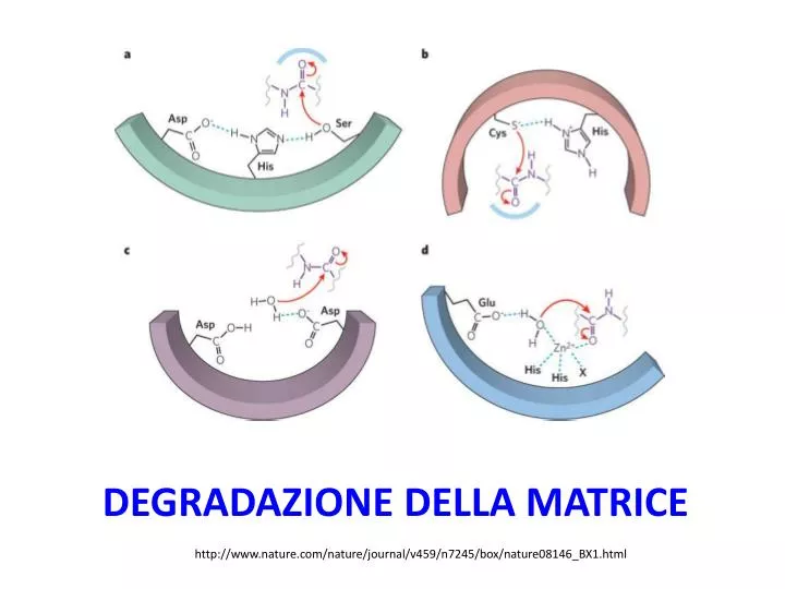 degradazione della matrice