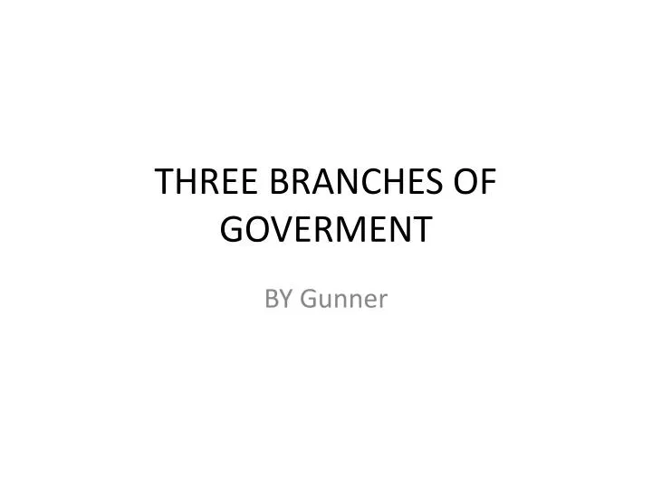 three branches of goverment