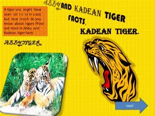 ABBY AND KADEAN TIGER FACTS .
