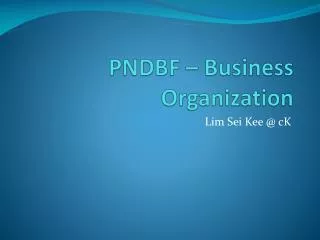 pndbf business organization