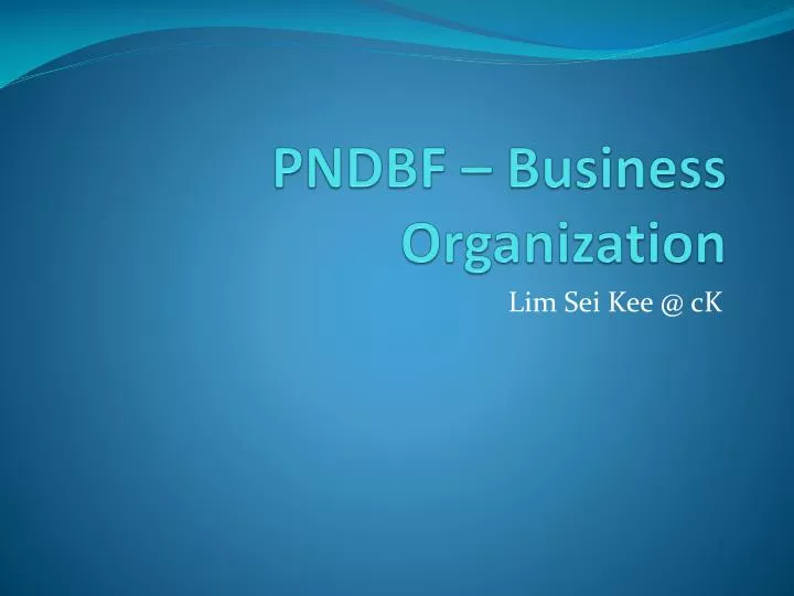 pndbf business organization