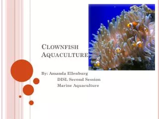 Clownfish Aquaculture