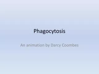 Phagocytosis