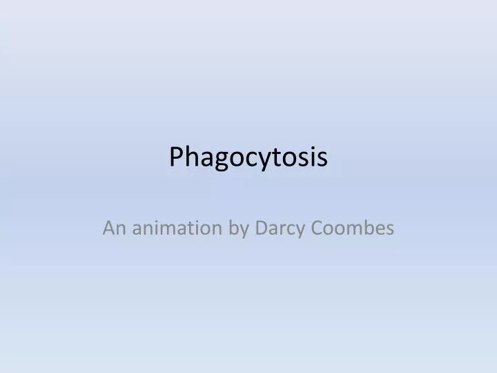 phagocytosis