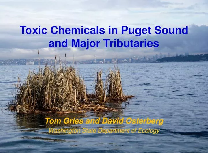 toxic chemicals in puget sound and major tributaries