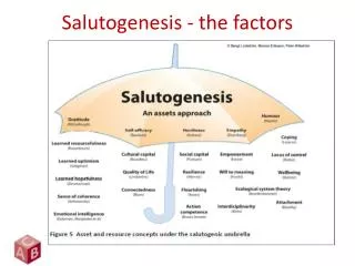 Salutogenesis - the factors