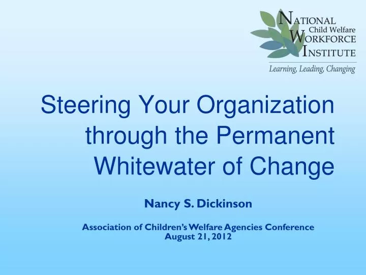 steering your organization through the permanent whitewater of change