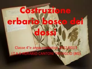 Costruzione erbario bosco dei dossi