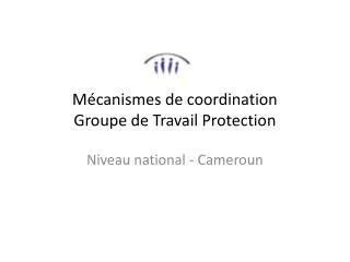 m canismes de coordination groupe de travail protection