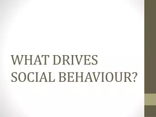 WHAT DRIVES SOCIAL BEHAVIOUR?