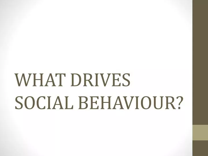 what drives social behaviour