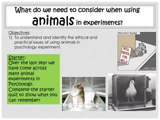 What do we need to consider when using animals in experiments?