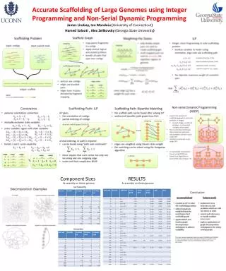 Accurate Scaffolding of Large Genomes using Integer