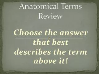 Anatomical Terms Review