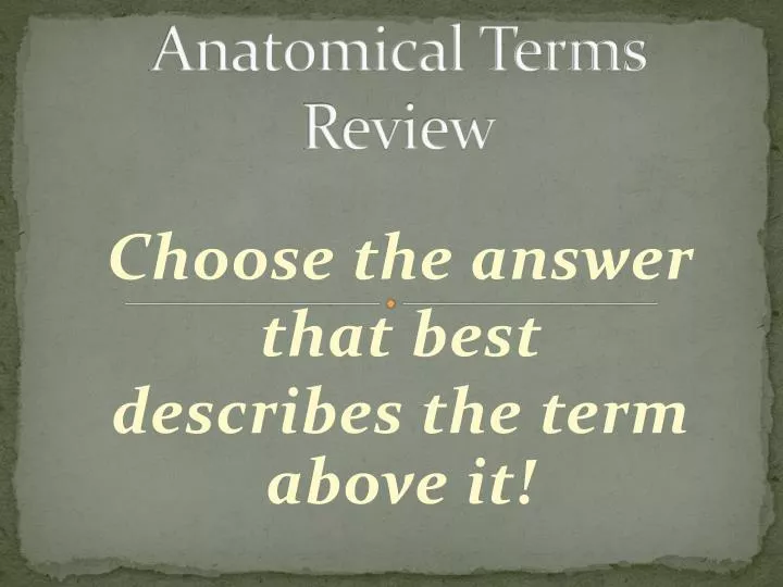 anatomical terms review