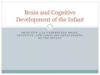 brain and cognitive development of the infant