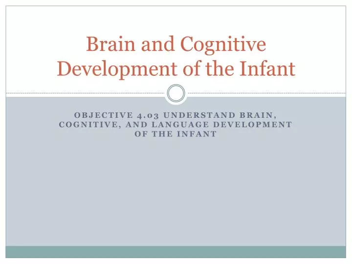 brain and cognitive development of the infant