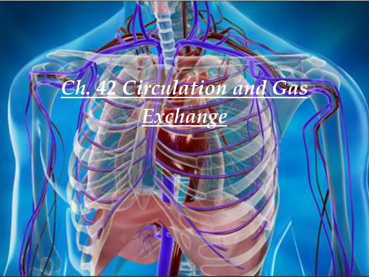 ch 42 circulation and gas exchange