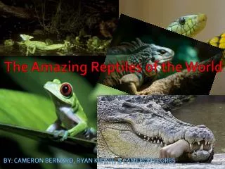 The Amazing Reptiles of the World