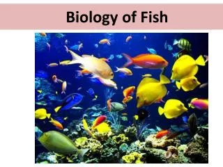 Biology of Fish