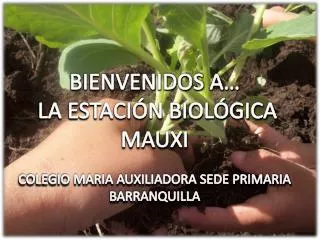 BIENVENIDOS A… LA ESTACIÓN BIOLÓGICA MAUXI C OLEGIO MARIA AUXILIADORA SEDE PRIMARIA