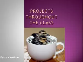Projects Throughout The Class