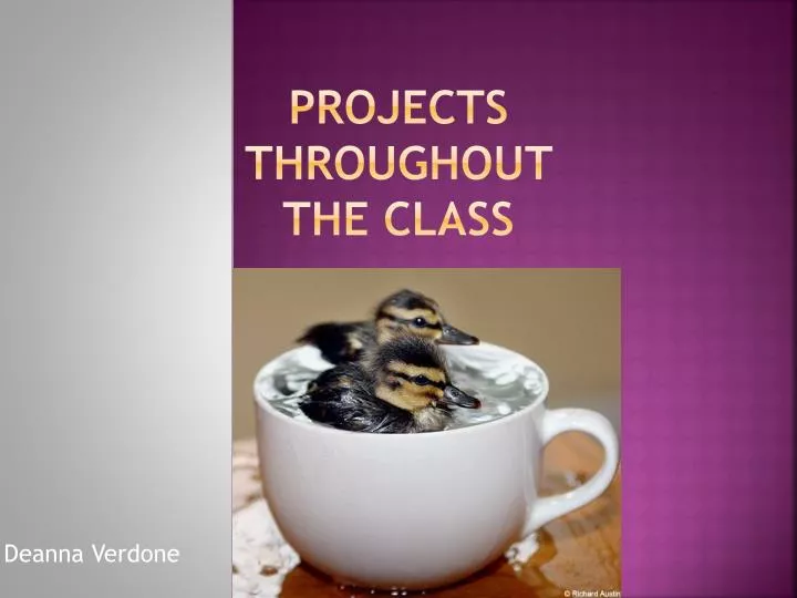 projects throughout the class