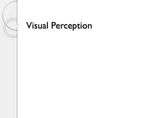 Visual Perception