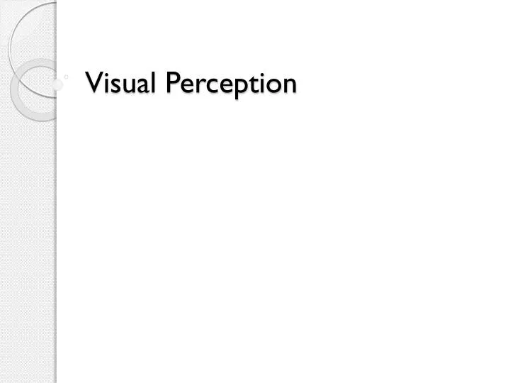 visual perception