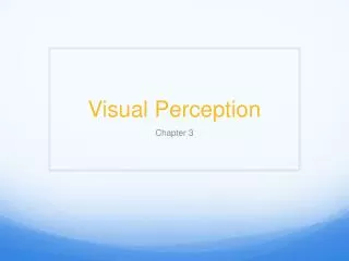 Visual Perception