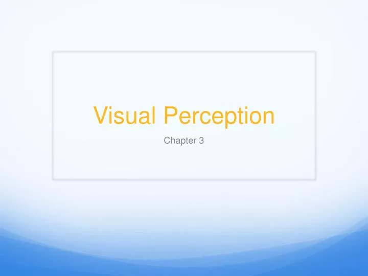 visual perception