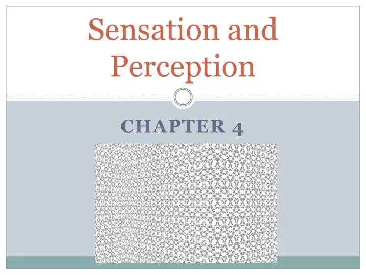 sensation and perception