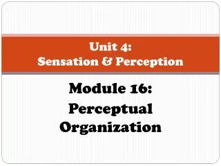 Unit 4: Sensation &amp; Perception