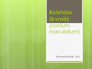 Bolehlav škvrnitý ( conium maculatum )