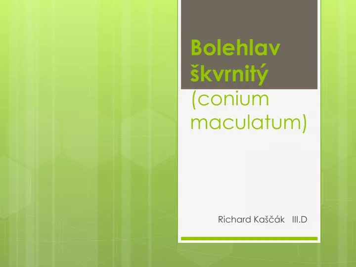 bolehlav kvrnit conium maculatum