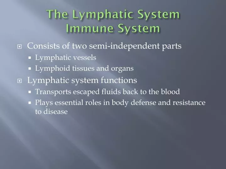 the lymphatic system immune system