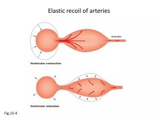 Elastic recoil of arteries
