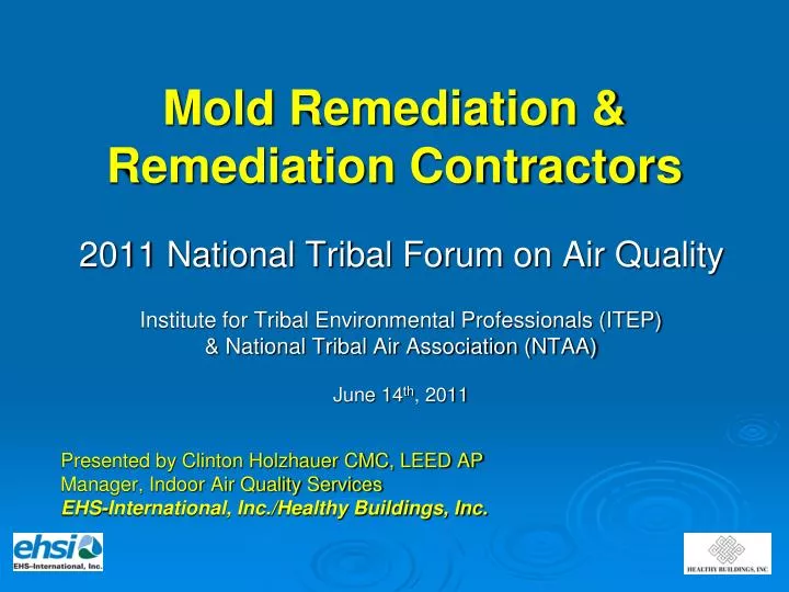 mold remediation remediation contractors