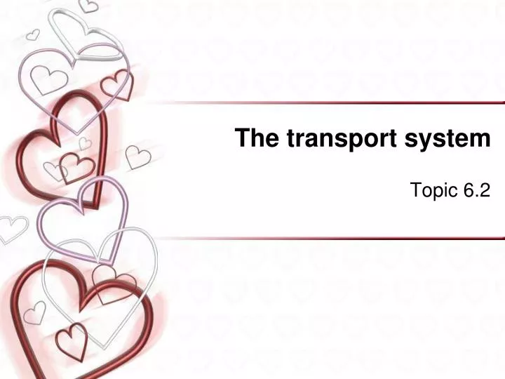 the transport system
