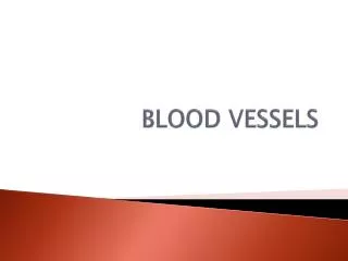 BLOOD VESSELS