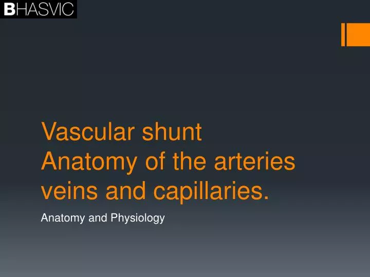 vascular shunt anatomy of the arteries veins and capillaries