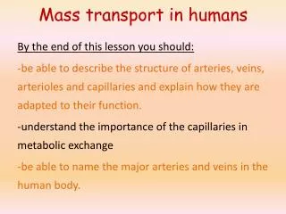 Mass transport in humans