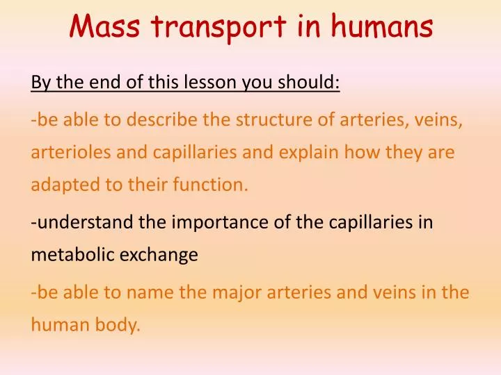 mass transport in humans