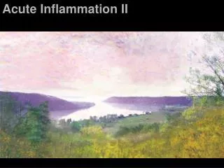 Acute Inflammation II