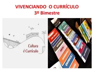 vivenciando o curr culo 3 bimestre