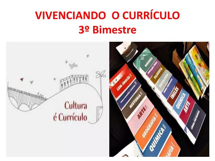 vivenciando o curr culo 3 bimestre