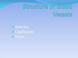 Structure of Blood Vessels