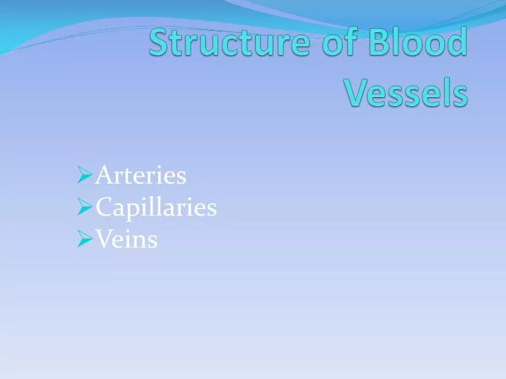 structure of blood vessels