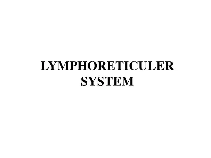 lymphoreticuler system